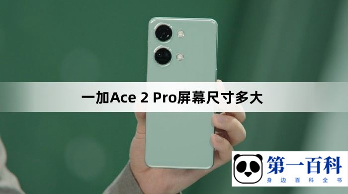 一加Ace 2 Pro屏幕尺寸多大