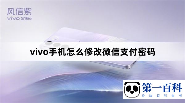 vivo手机怎么修改微信支付密码