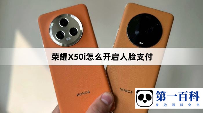 荣耀X50i怎么开启人脸支付