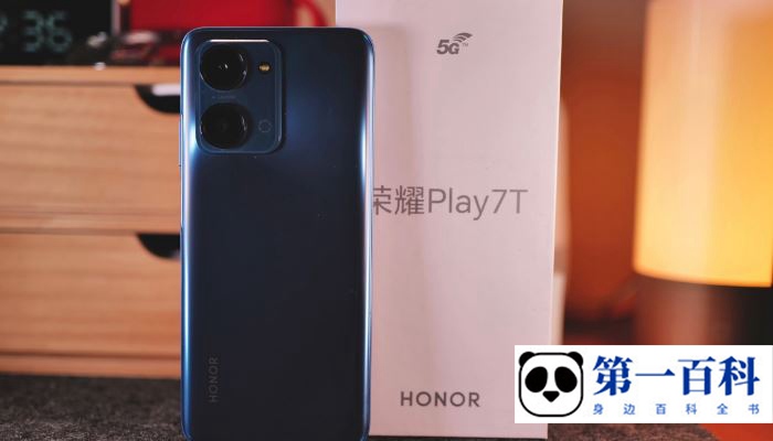 荣耀Play7T能反向充电吗