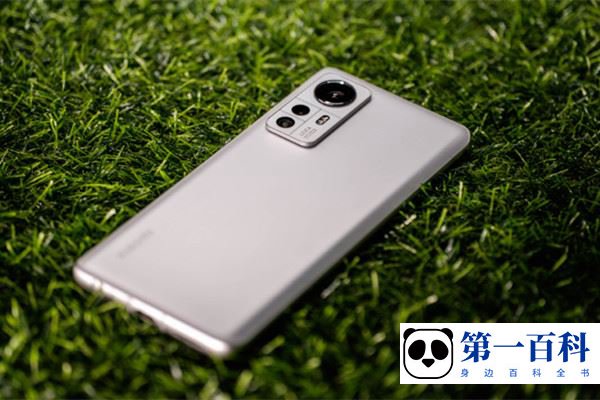 Xiaomi 12S支持全网通吗？