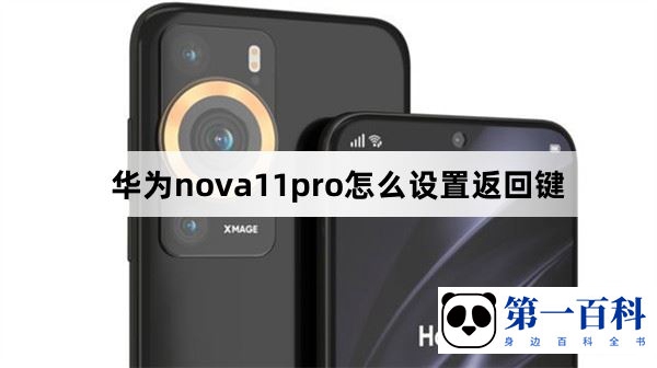 华为nova11pro怎么设置返回键