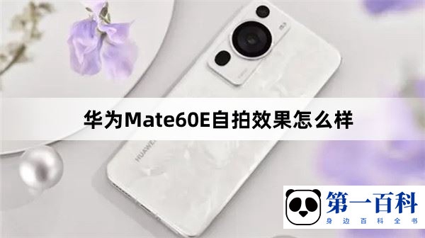 华为Mate60E自拍效果怎么样