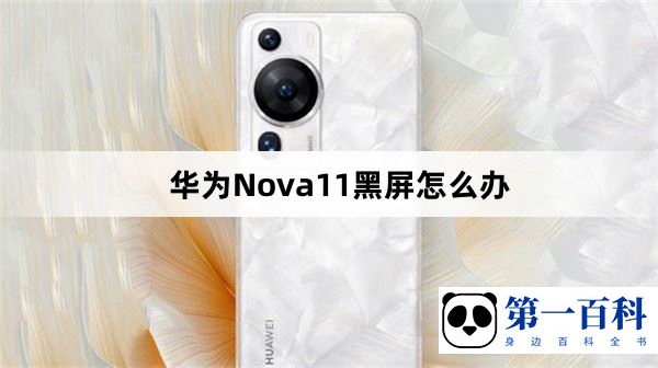 华为Nova11黑屏怎么办