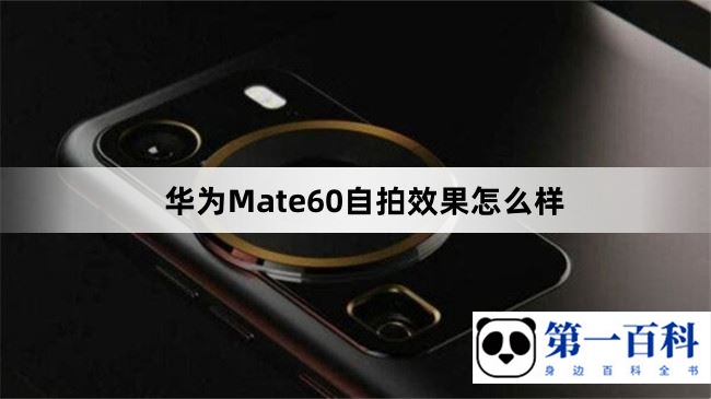 华为Mate60自拍效果怎么样