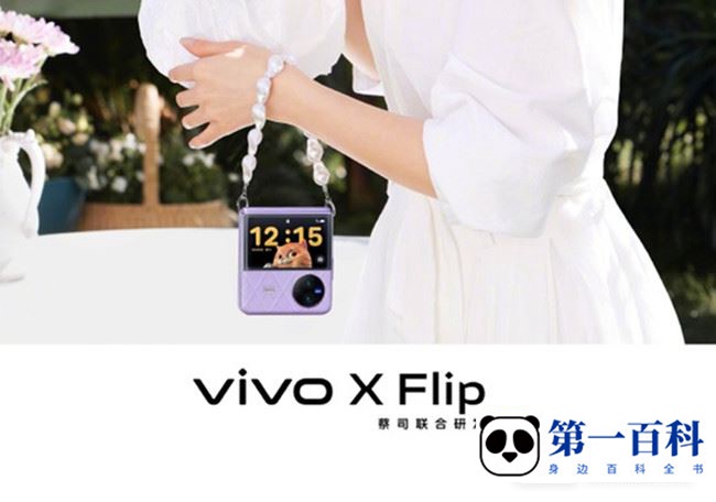 vivo X Flip是5G手机吗