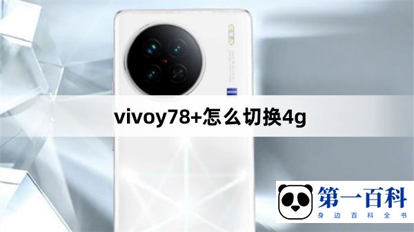 vivoy78+怎么切换4g
