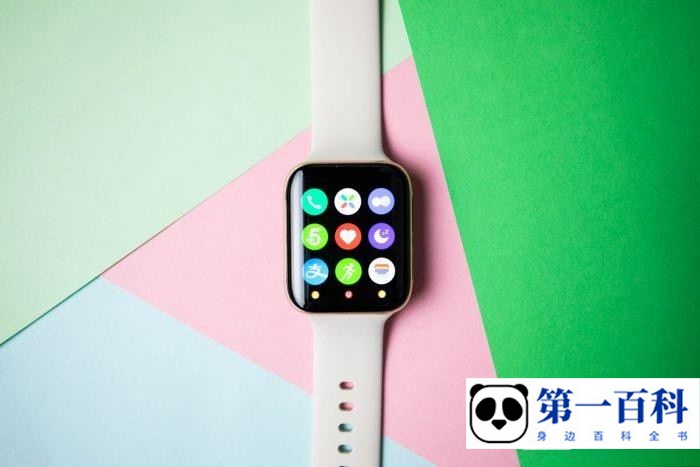 OPPOWatch4Pro是什么表盘