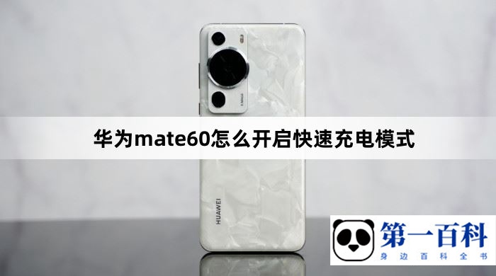 华为mate60怎么开启快速充电模式