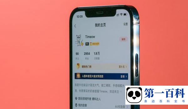iPhone 12 Pro内存使用情况查询教程