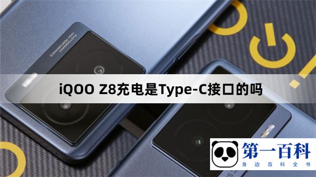 iQOO Z8充电是Type-C接口的吗