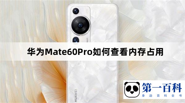 华为Mate60Pro如何查看内存占用