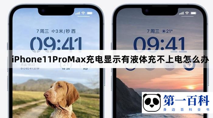 iPhone11ProMax充电显示有液体充不上电怎么办