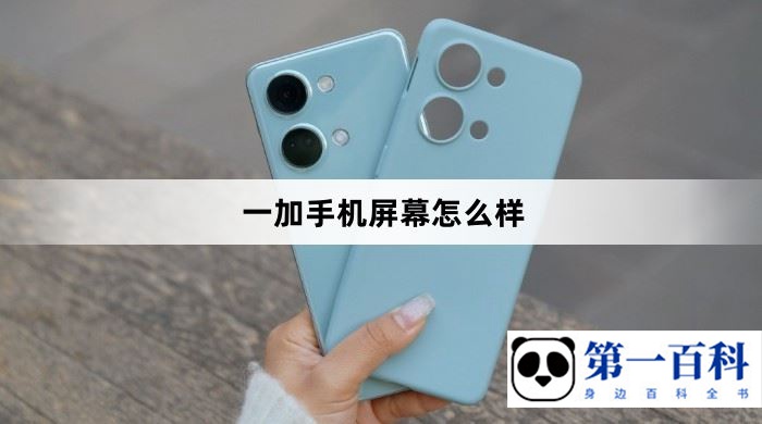 一加手机屏幕怎么样