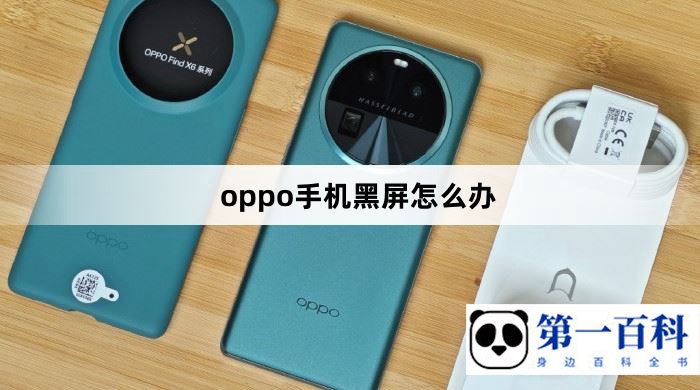 oppo手机黑屏怎么办