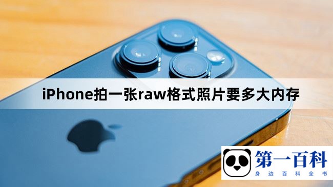 iPhone拍一张raw格式照片要多大内存