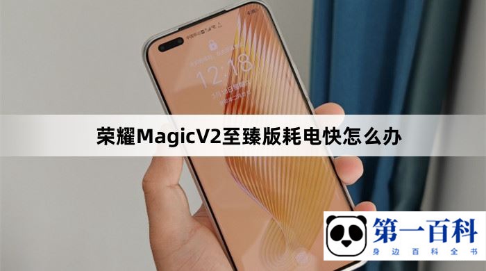 荣耀MagicV2至臻版耗电快怎么办