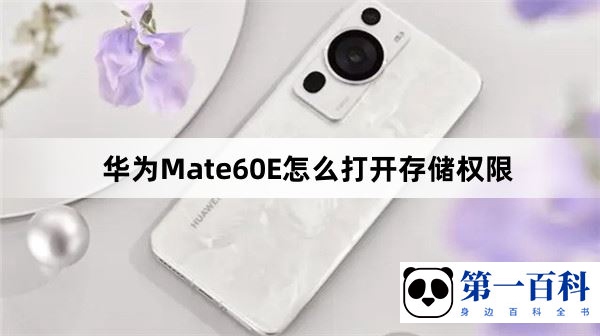 华为Mate60E怎么打开存储权限