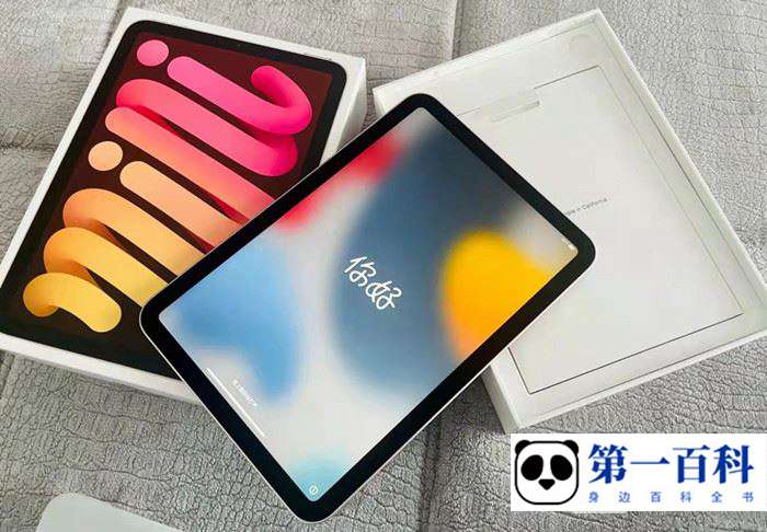 iPadmini6哪个颜色比较好