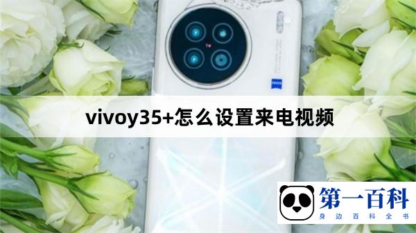 vivoy35+怎么设置来电视频