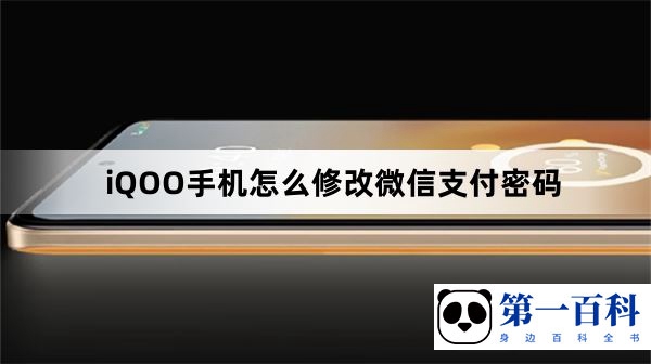 iQOO手机怎么修改微信支付密码