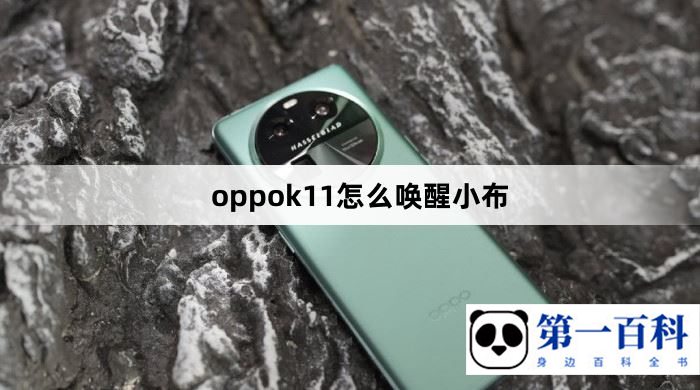 oppok11怎么唤醒小布