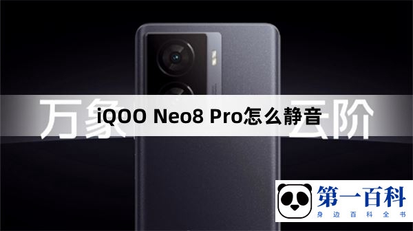 iQOO Neo8 Pro怎么静音