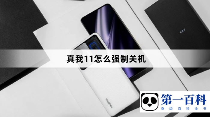 真我11怎么强制关机