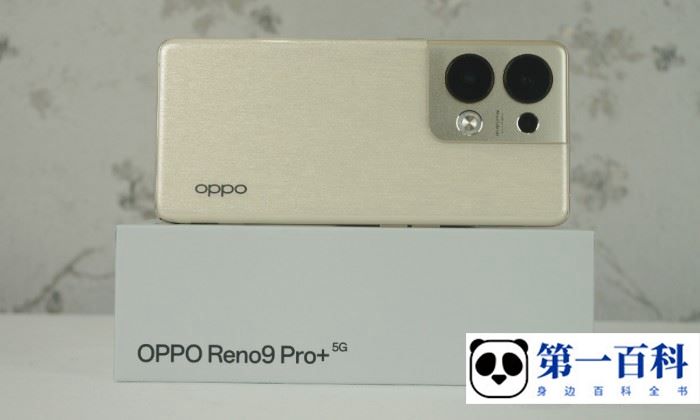 OPPO Reno9 Pro+怎么设置桌面时间