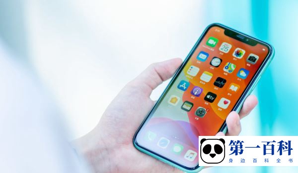 iPhone 11画中画开启教程