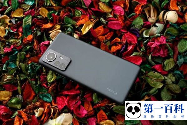 Xiaomi 12 Pro 天玑版支持5G全网通吗