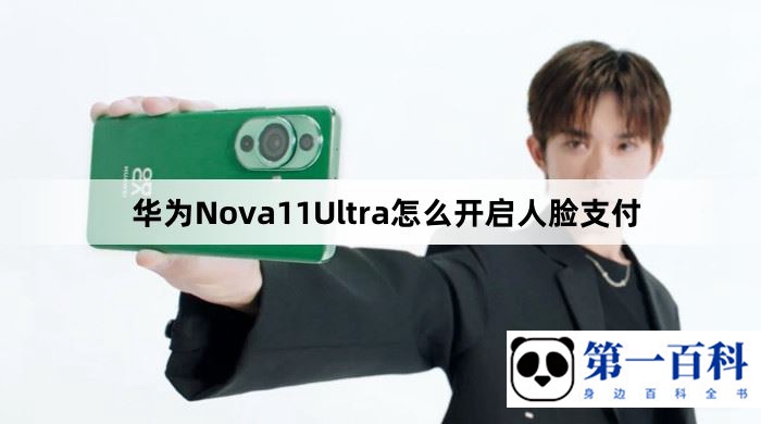 华为Nova11Ultra怎么开启人脸支付