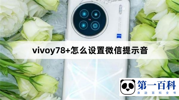 vivoy78+怎么设置微信提示音