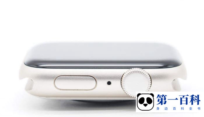 Apple Watch SE 2和se有什么区别