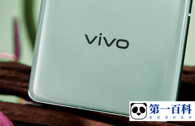 vivo X90s怎么看保修时间