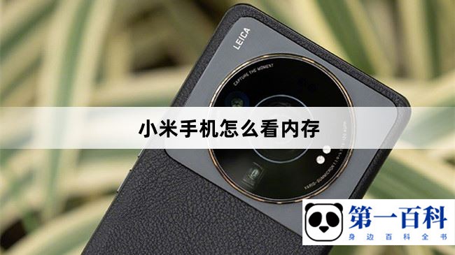 小米手机怎么看内存