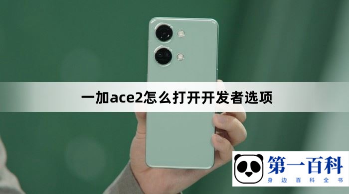 一加ace2怎么打开开发者选项