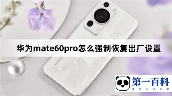 华为mate60pro怎么强制恢复出厂设置