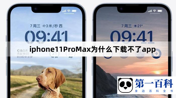 iphone11ProMax为什么下载不了app