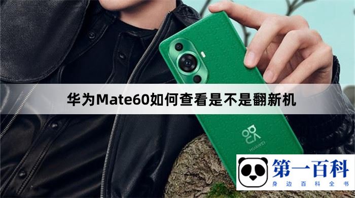 华为Mate60如何查看是不是翻新机