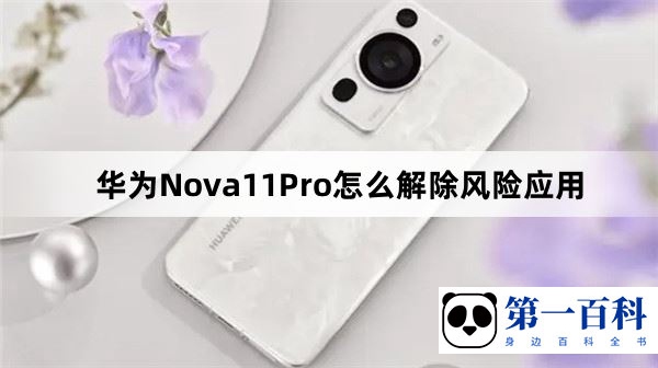 华为Nova11Pro怎么解除风险应用