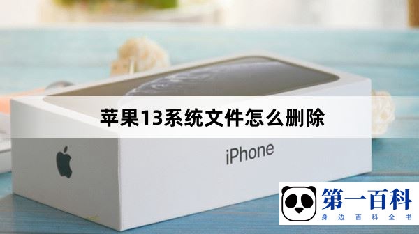 苹果13系统文件怎么删除