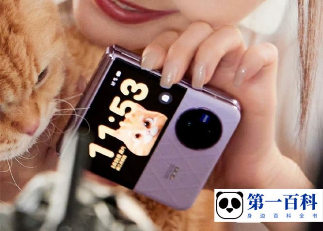 vivo X Flip有外屏吗