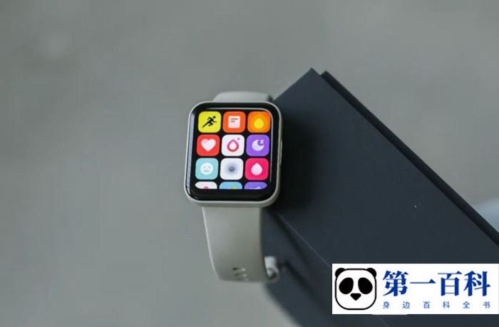 红米RedmiWatch2有什么表带