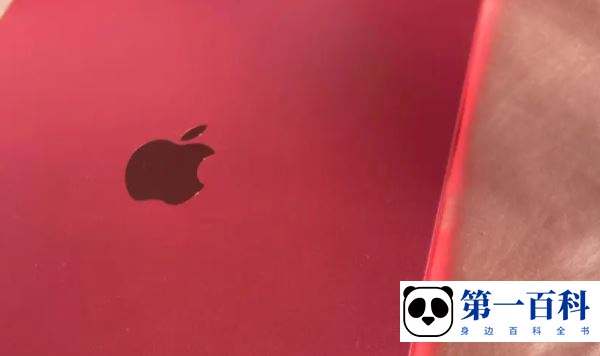 ipad10开启导航键教程