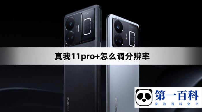 真我11pro+怎么调分辨率