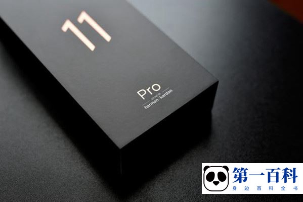 Xiaomi 11 Pro用的什么类型的接口？