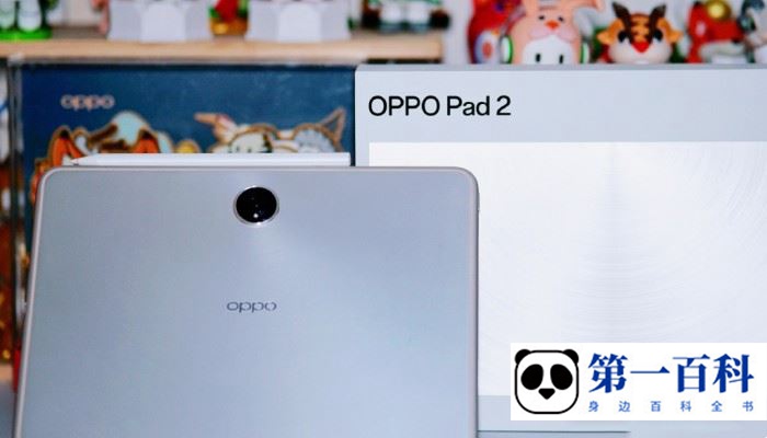 OPPOPad2支持内存扩展吗