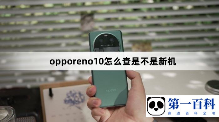 opporeno10怎么查是不是新机