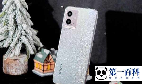 vivo Y33s是USBTypeC接口吗